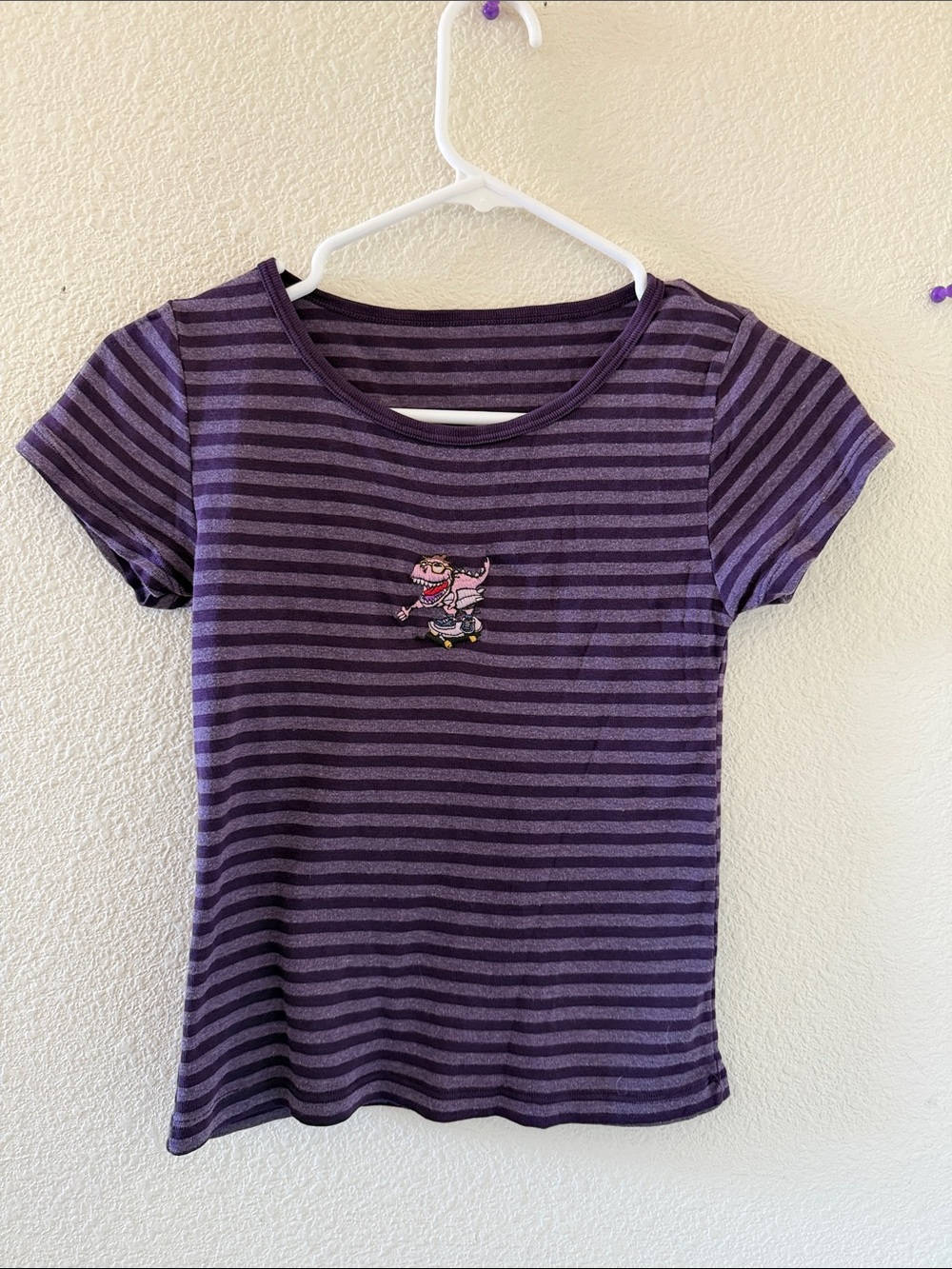 Brandy melville Ashlyn striped Dino top